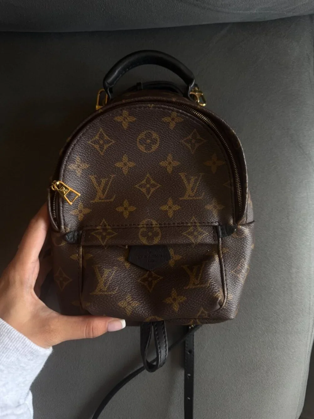Louis Vuitton Palm Springs Mini Backpack with Gold Hardware